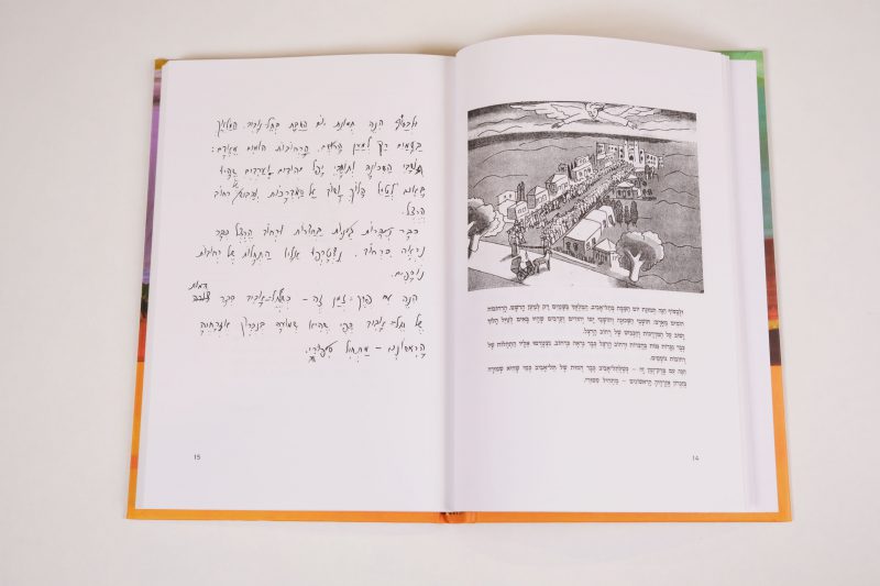 ⁦שביל קליפות התפוזים⁩ – תמונה ⁦2⁩