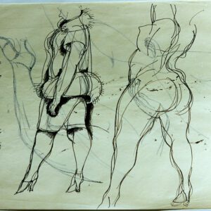 רישום מודל מחופש 8.3 -דיגיתל